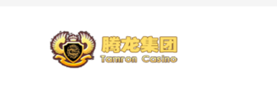 腾龙公司头像